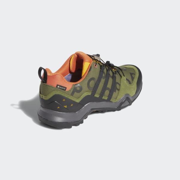 Adidas Pine Pop Swift R2 Gtx Chaussures