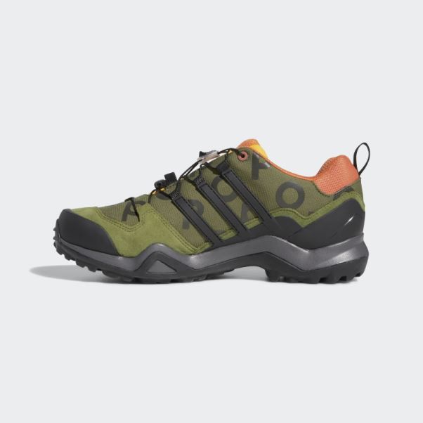 Adidas Pine Pop Swift R2 Gtx Chaussures