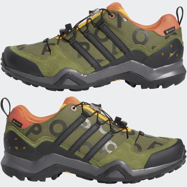 Adidas Pine Pop Swift R2 Gtx Chaussures